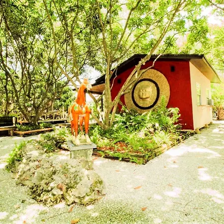 Delightful Sukiya Tiny House! Japanese Garden In Homestead Exterior photo