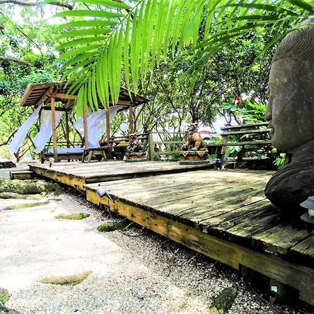 Delightful Sukiya Tiny House! Japanese Garden In Homestead Exterior photo